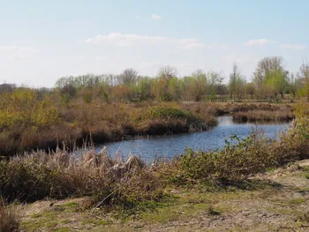 Kalkense Meersen (België)